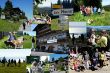 1 Pfingsten Shiba Collage 30.-31.05.09 (3) (2).jpg
