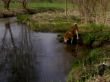 11 Inu Buggensegel 08-04- 2010.jpg