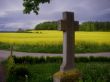 11-05-2010  Rapsfeld Salem Kreuz-2.jpg