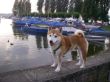 20-08-2010 Diana und Inu Hafen-007 (2).JPG