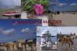 1 Grömitz Ostsee Collage 05-09 (2) (2).jpg